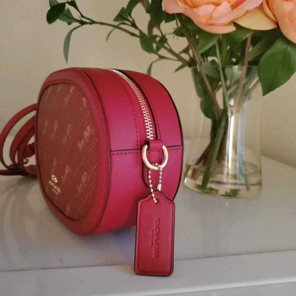 Coach crossbody horse and carriage - Picture 2 of 6